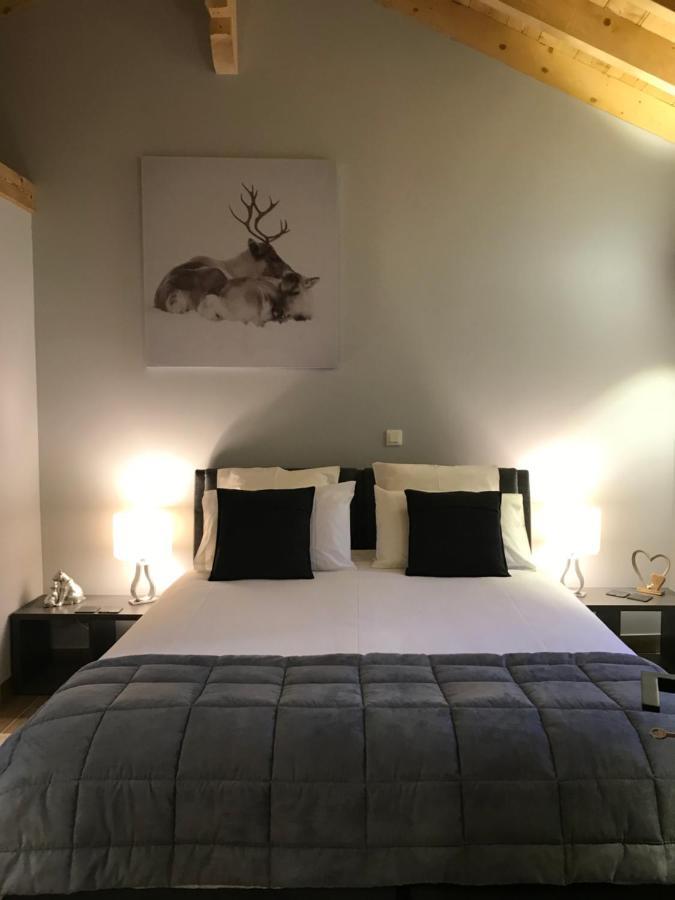 Chalet Barbara With Swimming Pool In The Heart Of Oisans Le Bourg-dʼOisans Екстериор снимка